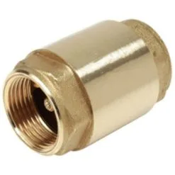 Clapet Anti-retour à Disque Giacomini 3/4 Pouce R60Y034