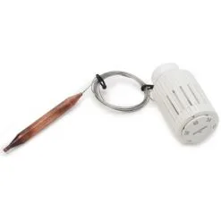 Tête Thermostatique Avec Capteur à Distance Bulbe Liquide Giacomini R462LX | R462LX001