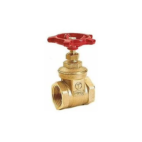 Vanne Femelle-femelle à Passage Direct Giacomini R55 | 3/8" 1 Vanne Femelle-femelle à Passage Direct Giacomini R55 | 3/8"